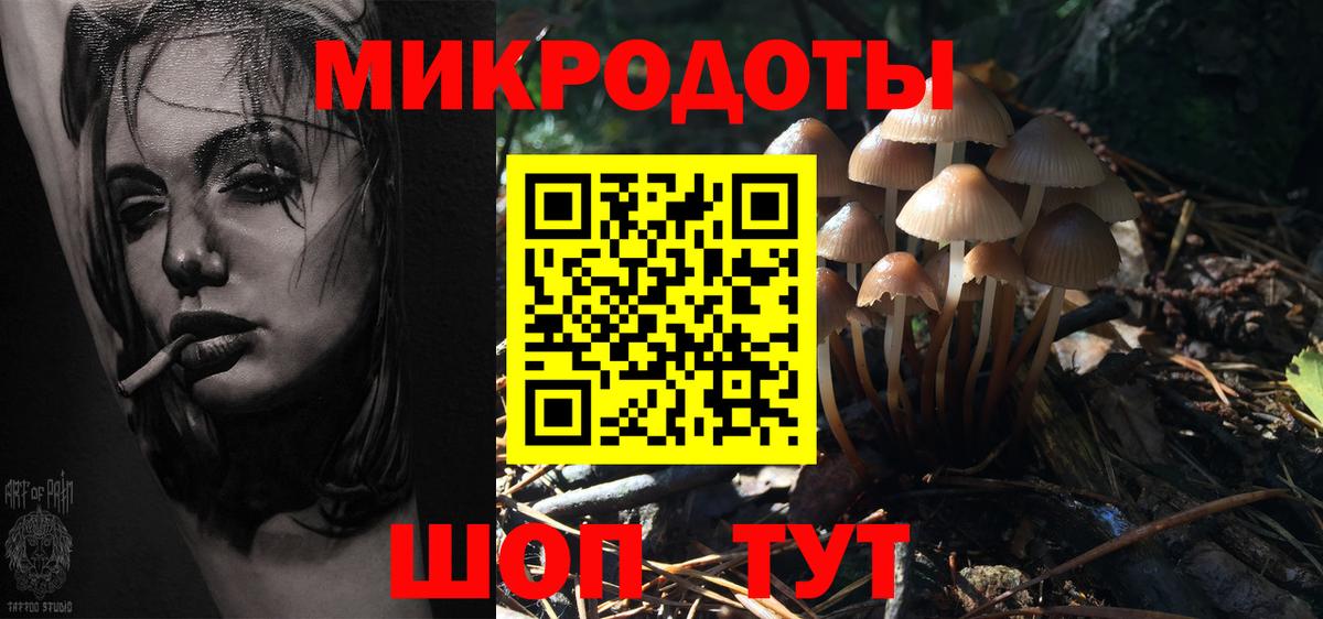 Галлюциногенные грибы Psilocybine cubensis Янаул